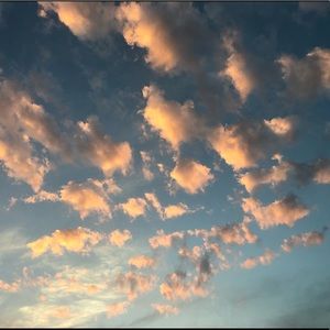 Meet your Posher, Annie